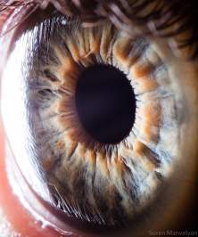 close up shot of iris, iridology